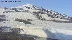 area1-20250509065017.jpg