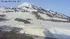area1-20250509070017.jpg
