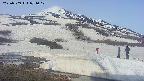 area1-20250509071019.jpg
