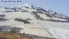 area1-20250509074016.jpg