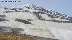 area1-20250509082015.jpg