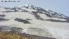 area1-20250509093017.jpg