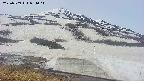 area1-20250509094015.jpg