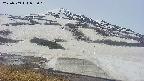 area1-20250509095015.jpg