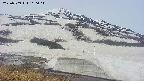 area1-20250509100015.jpg
