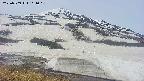 area1-20250509101016.jpg