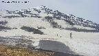 area1-20250509121034.jpg