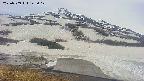 area1-20250509145022.jpg