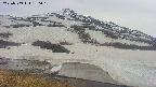 area1-20250509150021.jpg