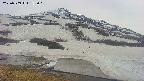area1-20250509152022.jpg