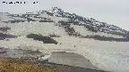 area1-20250509153021.jpg
