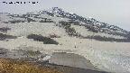 area1-20250509161027.jpg