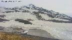 area1-20250509162025.jpg