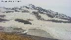 area1-20250509164021.jpg