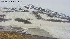 area1-20250509165026.jpg