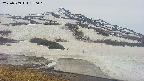area1-20250509170025.jpg