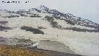 area1-20250509172026.jpg