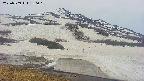 area1-20250509180022.jpg