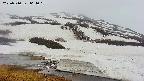 area1-20250510064022.jpg