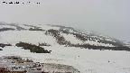 area1-20250510103142.jpg