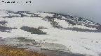 area1-20250510152017.jpg