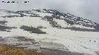 area1-20250510154017.jpg