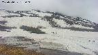 area1-20250510155016.jpg