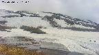 area1-20250510162017.jpg