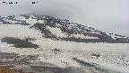area1-20250511181016.jpg