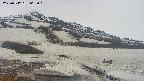 area1-20250512062017.jpg