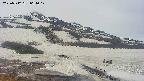 area1-20250512064018.jpg