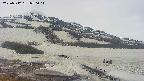 area1-20250512070015.jpg