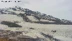 area1-20250512071017.jpg
