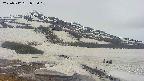 area1-20250512073016.jpg