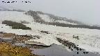 area1-20250512160018.jpg