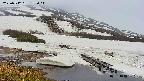 area1-20250512173015.jpg
