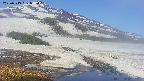area1-20250513075016.jpg