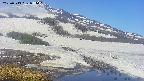 area1-20250513081016.jpg