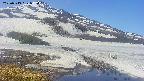area1-20250513083016.jpg
