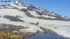 area1-20250513085018.jpg