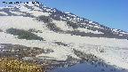 area1-20250513091018.jpg