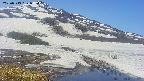 area1-20250513092016.jpg
