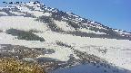 area1-20250513103016.jpg