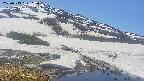 area1-20250513105016.jpg