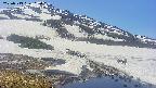 area1-20250513112017.jpg
