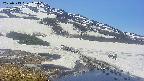 area1-20250513113016.jpg