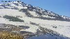 area1-20250513114016.jpg