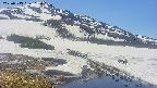 area1-20250513115016.jpg