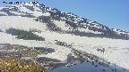area1-20250513120017.jpg
