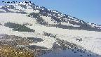 area1-20250513121015.jpg